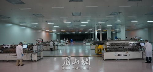 眉山建成國(guó)內(nèi)最大OLED材料生產(chǎn)基地，新材料技術(shù)研發(fā)引領(lǐng)產(chǎn)業(yè)升級(jí)